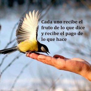 Meet your Posher, Noemy